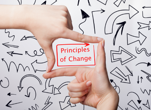 Principles Of Change